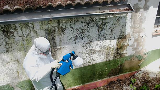 Mold Remediation service in Burnham, Burnham, PA